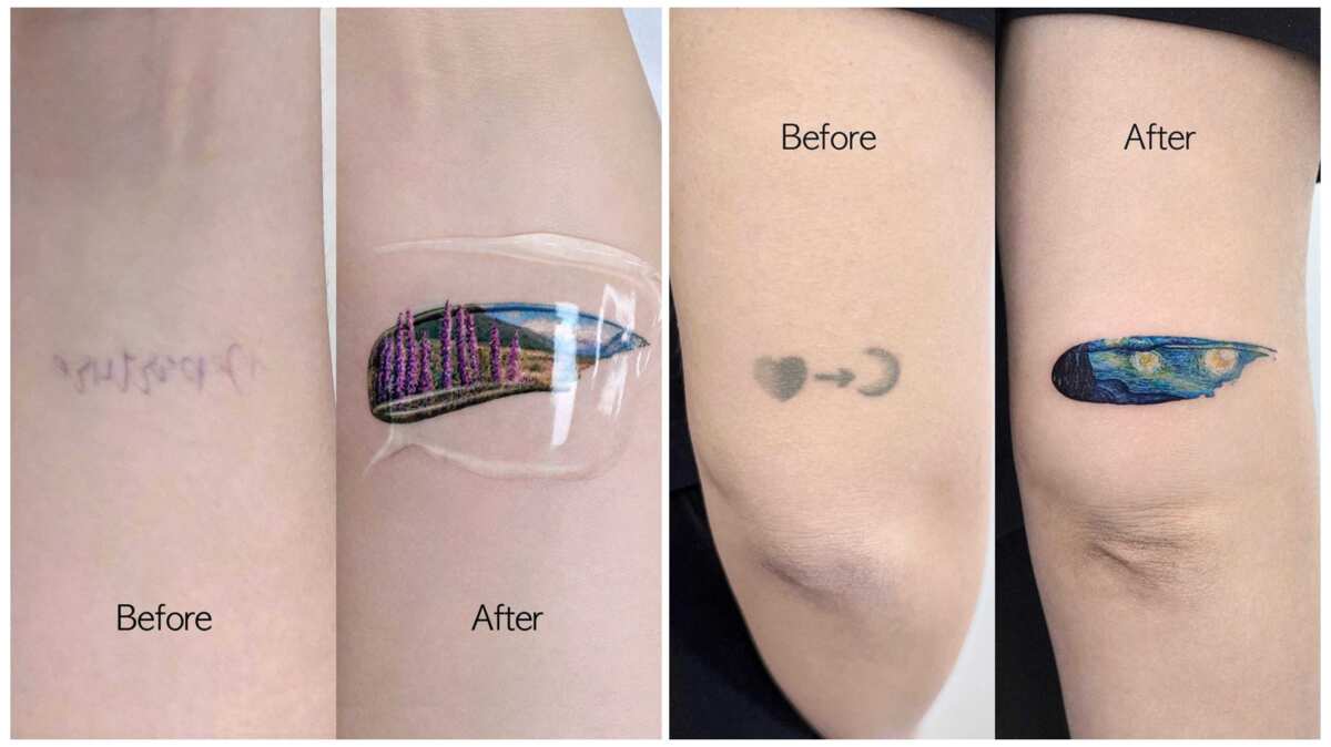 50 tattoo cover-up ideas to hide the mistakes of your youth - Legit.ng